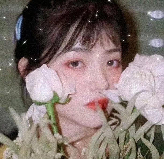 粉红理论